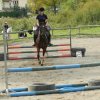 Babie Lato 2016